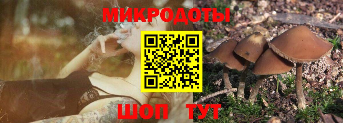 Псилоцибиновые грибы Magic Shrooms Мурино