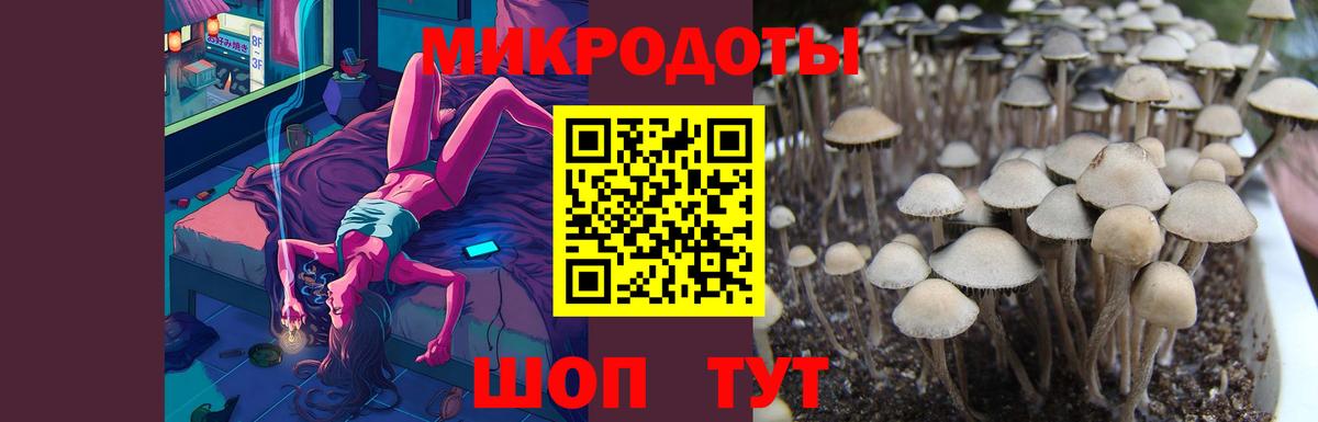 Мурино  Псилоцибиновые грибы мицелий  Вход с VPN 